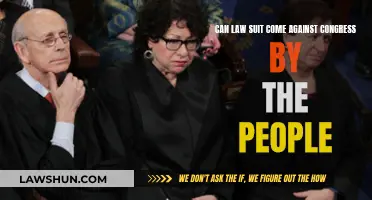 People vs. Congress: Can Lawsuits Hold Politicians Accountable?