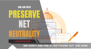 Net Neutrality: Can Lawsuits Save the Internet?