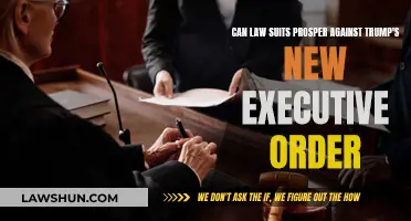 Trump's Executive Order: Can Lawsuits Succeed?