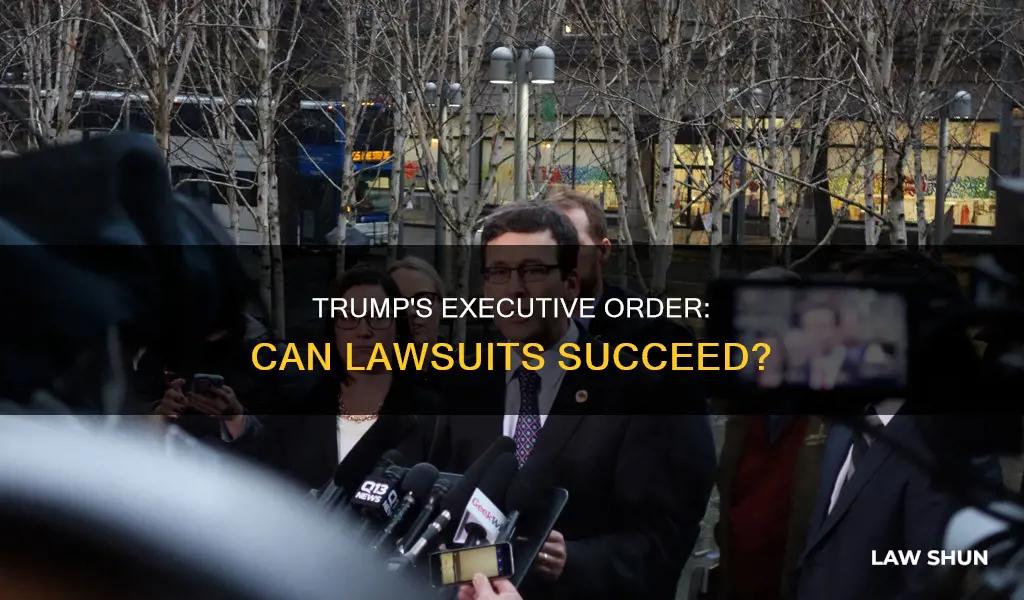 can law suits prosper against trump
