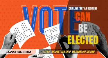 The Presidency: Can Law Govern Election Outcome?