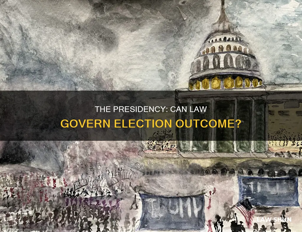 can law that a president can be elected