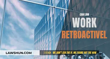 Retroactive Law: Can We Rewrite the Past?