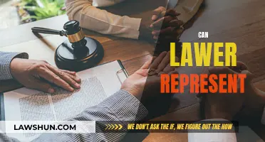 Lawyers: Who Can They Represent and Why?