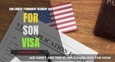 Visa Options for Lawful Permanent Residents' Sons