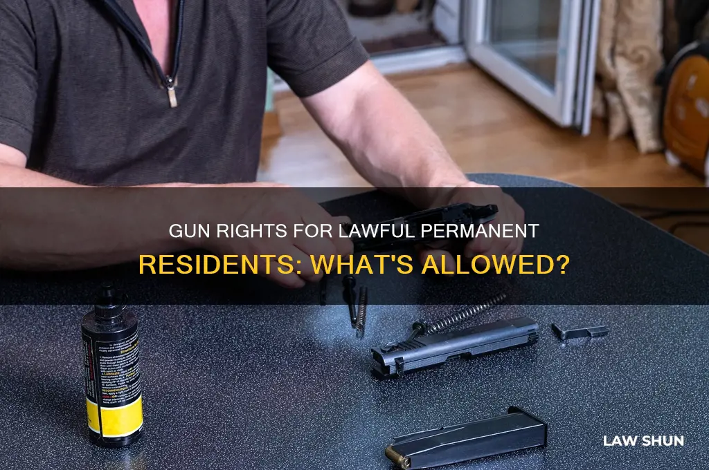 can lawful permanent residents own guns