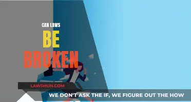 Breaking Laws: When and Why It Happens