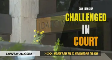 Challenging Laws: Courts and Legal Boundaries