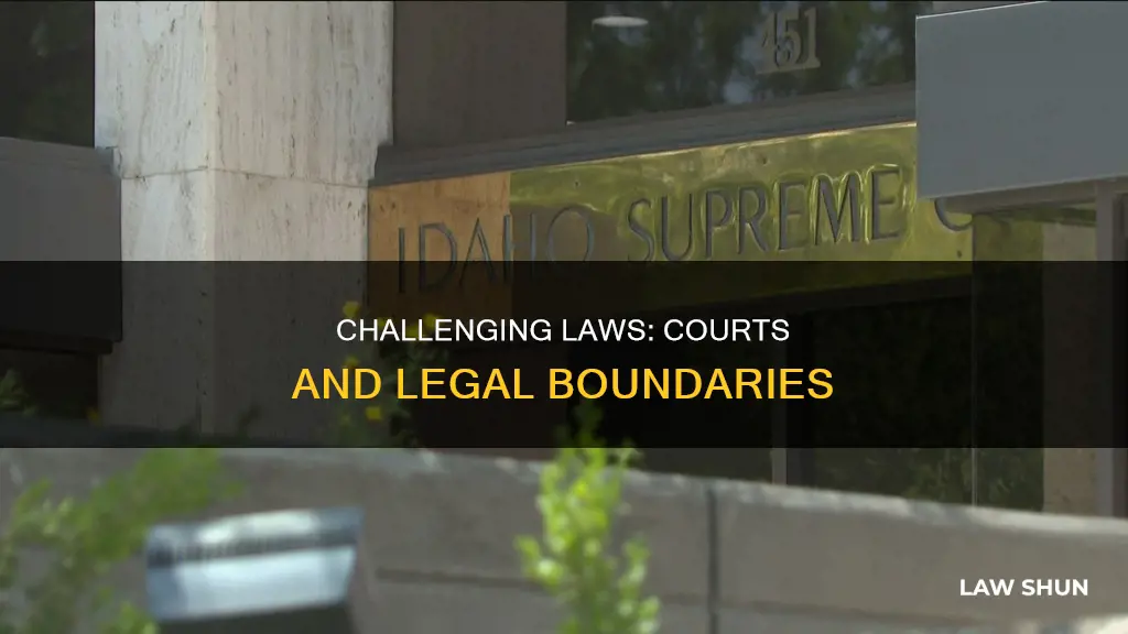 can laws be challenged in court