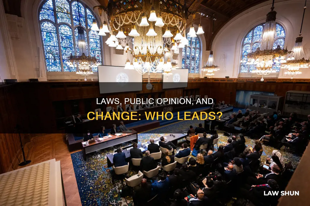 can laws be changed based on popular opinion