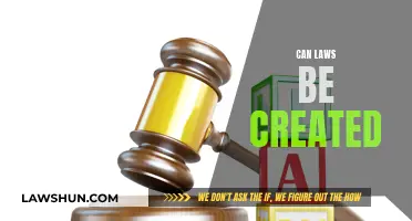 Creating Laws: Who Decides and How?