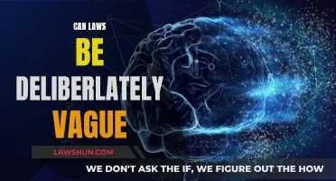 The Deliberate Vagueness of Laws: A Double-Edged Sword