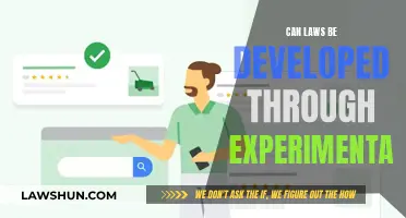 Experimenting with Laws: A Viable Innovation Strategy?