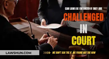 Enforcing Laws: Court Challenges and Their Impact