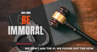 Laws vs Morality: Can Laws Be Immoral?