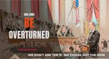 Laws: Can They Be Overturned?