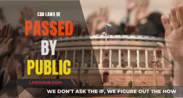 Public Power: Passing Laws for the People