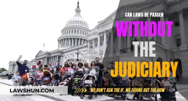 The Executive's Power: Passing Laws Without the Judiciary