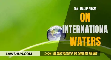 International Waters: Navigating Legal Boundaries and Sovereignty