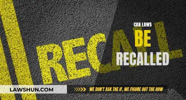 Revisiting Laws: Can They Be Recalled?