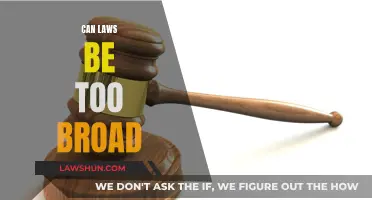 Broad Laws: Precise or Problematic?