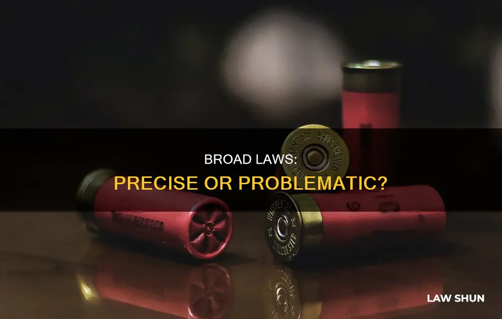 can laws be too broad