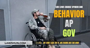 How Laws Shape Opinions and Behavior in America