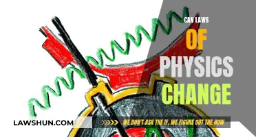 The Physics Law: Immutable or Mutable?