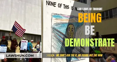 Thought Experiments: Laws of Being Demonstrated?
