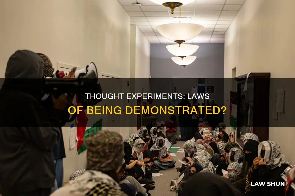 can laws of thought being be demonstrated