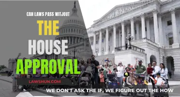 The Executive Power: Laws Without House Approval?