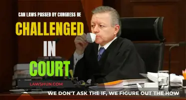 Congress Laws: Challengeable in Court?