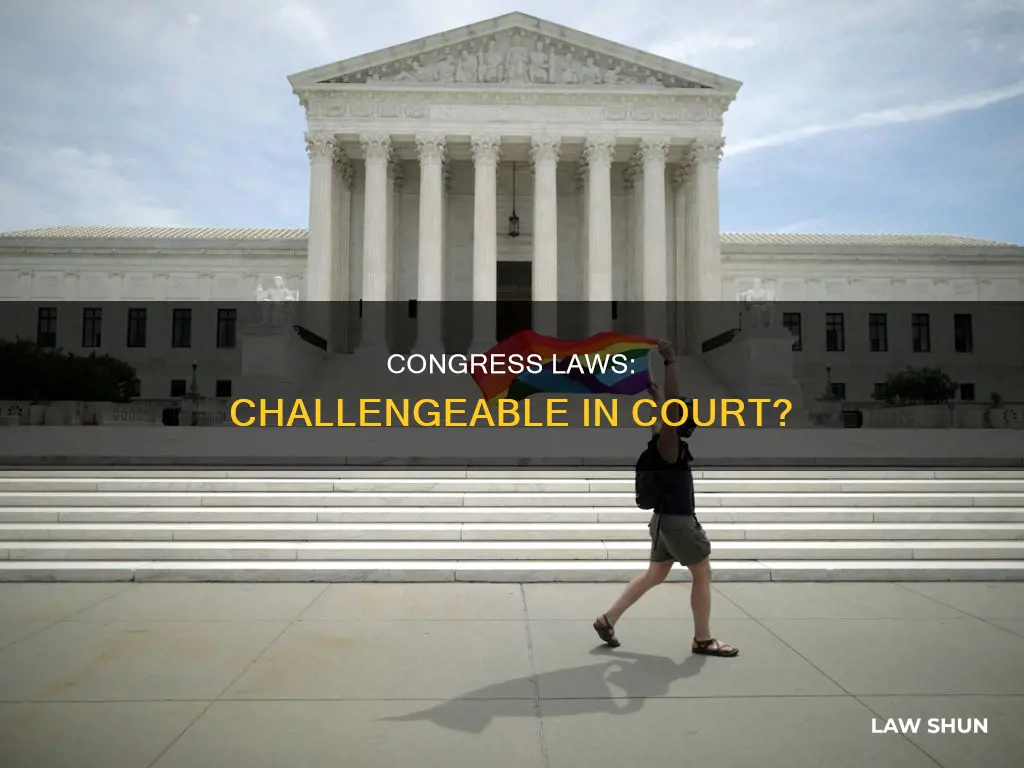 can laws passed by congress be challenged in court