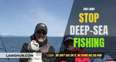 How Laws Can Protect the Deep Sea from Fishing