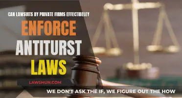 Private Lawsuits: Effective Antitrust Enforcement?
