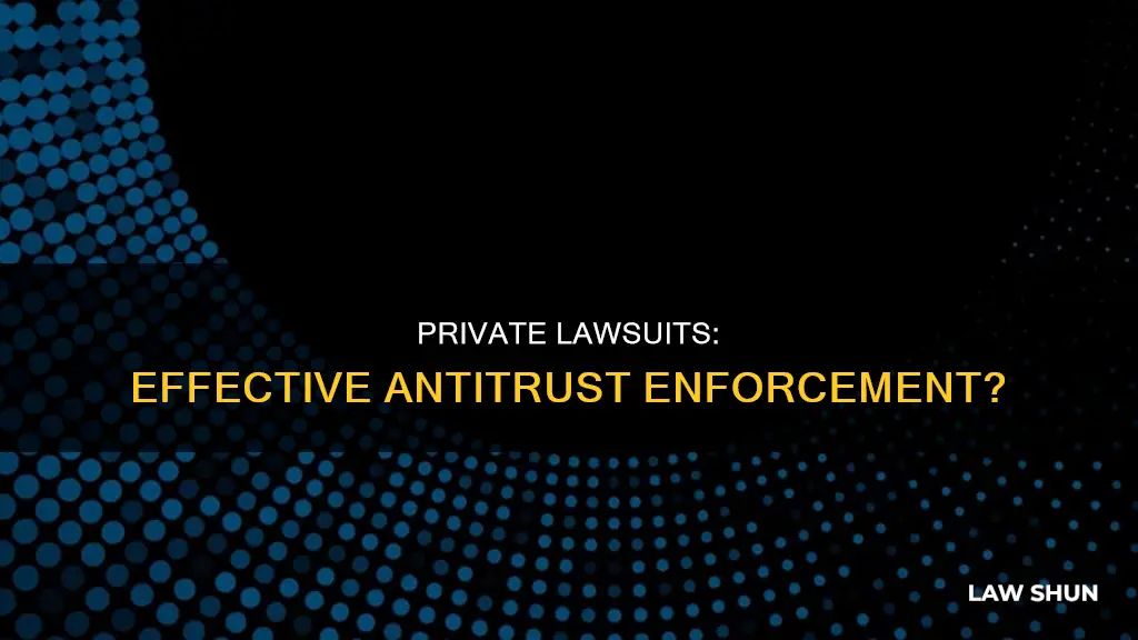 can lawsuits by private firms effectibeley enforce antiturst laws