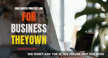 Lawyers and Business: Practicing Law for Self-Owned Ventures