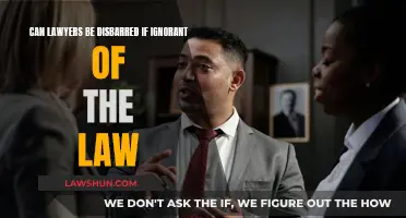 Ignorance of the Law: Can Lawyers Be Disbarred?