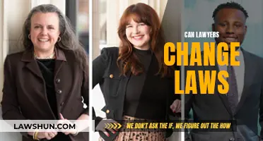 How Lawyers Influence Law-Making: A Guide
