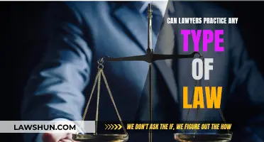Lawyers and Their Legal Practice Specialization Explained
