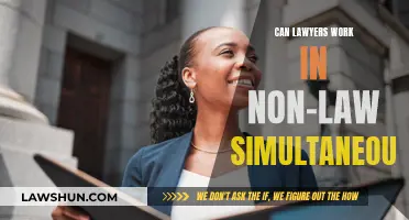 Lawyers: Legal and Non-Legal Work