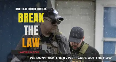 Bounty Hunters: Above or Below the Law?