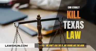 Texas Law: When Killing is Legal