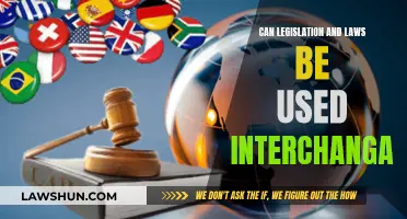 Legislation vs. Laws: What's the Difference?