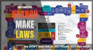 How Laws Are Made: The Legislative Branch's Role