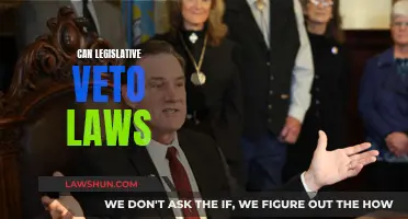 Legislative Veto Laws: What's Their Legality?