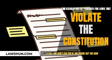 Legislators' Accountability for Unconstitutional Laws
