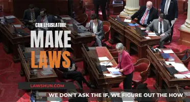 Legislature's Power: Law-Making Explored