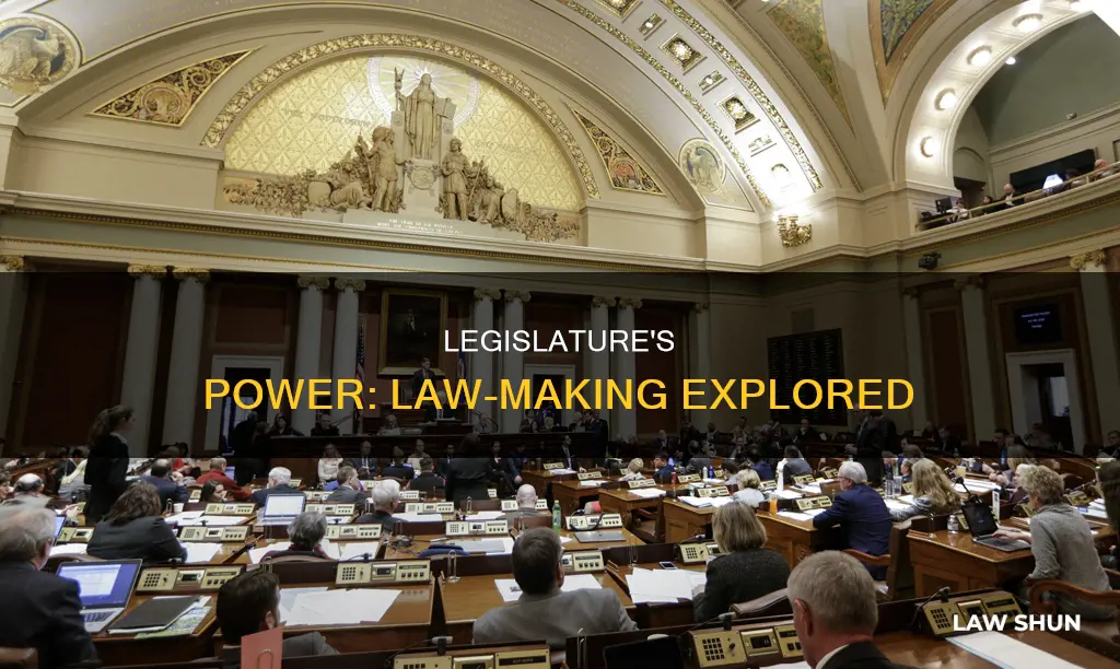can legislature make laws