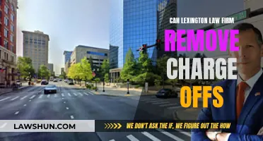 Lexington Law: Removing Charge Offs from Your Credit Report